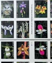2020 Wild Orchids Booklet Forever Stamps MNH Sc# 5444-5454 – 100 pcs total
