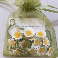 Pack of 100 Gift Organza Bags with 5×7 inch 1 Count (Pack of 100) Light Green