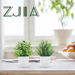 2 Pack Fake Plants Small Artificial Greenery Faux Plants Indoor for Home