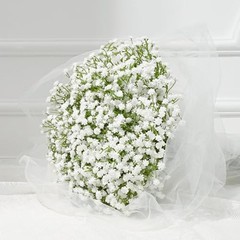 Babys Breath Artificial Flowers Long Stem Baby Breath Flowers 5 Pcs White