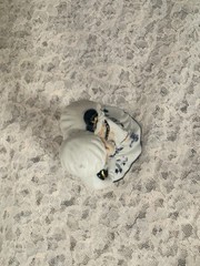 Vintage Porcelain Bride and Groom Figurine Cake Topper Blue White Gold Accent