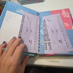 Budget Planner & Monthly Bill Organizer Book Non-Dated Budget Book