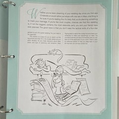 Wedding Planner & Organizer Hardcover Mindy Weiss Ring Binder Illustrated New