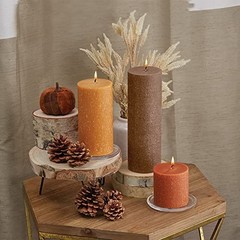 Root Candles Unscented Pillar Candles Beeswax Enhanced Textured Timberline