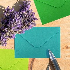 50 Pcs Gift Card Envelopes, Assorted Color Mini Envelopes 50 pcs, 10 colors