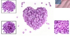 2200 Light Purple Silk Rose Petals – Perfect for Weddings & Celebrations