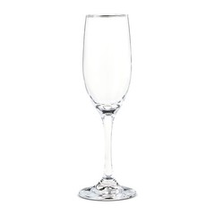 Champagne Flutes Set of 2 Elegant Wedding Toasting Glasses Party Drinkware Clear
