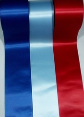 25mm Satin Ribbon You Choose from 41 Colours multiple Length sent one piece NEW