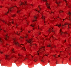 3000PCS Petalos De Rosa Rojo P�talos De Seda De Flores Artificiales Rojo Oscuro