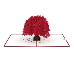 Lovepop Everyday Pop-Up Card for Her and Him- 3D Thinking of You Greeting Car…
