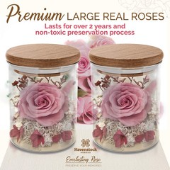 Havenstock Pink Rose in a Glass Dome – Premium Real Roses That Last