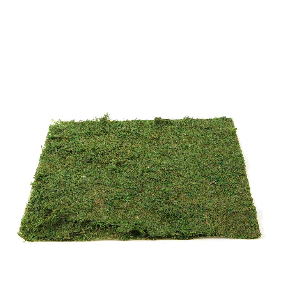 18″ x 16″ Green Natural Preserved Moss Sheet Party Wedding Crafts Decorations