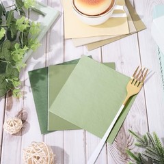 120 Sheet Sage Green Cocktail Napkin 2 Ply Color 5 x 5 In Nude Sage Green