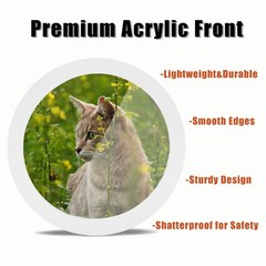 Colorful Round Photo Frames for Wall Mounting Display or Table Mounting Pictu…