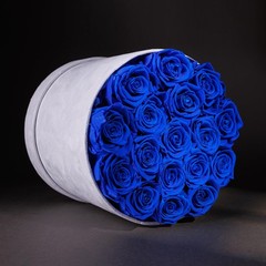 Prifroti 17 Flowers in a Luxury Suede Box, Birthday 17 Roses, Royal Blue