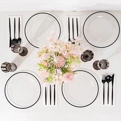 CLEAR 10 Round 10″ PLASTIC Dinner PLATES Black Rim Party Events Tableware