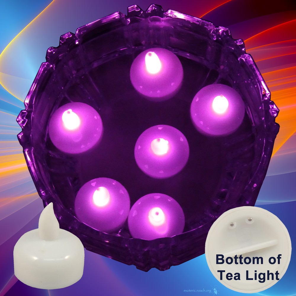 NEW 24 Pink Led Floating Floral Tea Light Candle for Wedding Centerpiece Decor