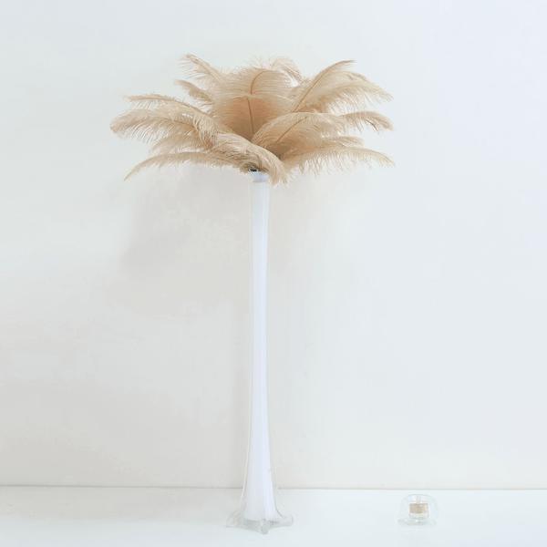 12 pcs 13-15″ long Beige Genuine Ostrich FEATHERS Wedding Party Centerpieces