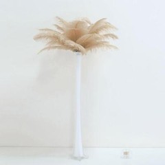 12 pcs 13-15″ long Beige Genuine Ostrich FEATHERS Wedding Party Centerpieces