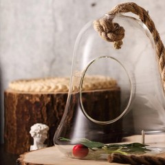 CLEAR 9″ tall Glass Bell Floating Terrarium Wedding Party Gifts Home Decorations