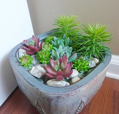 Set of 12 Artificial Mini Grass Succulents(Mix Plants)