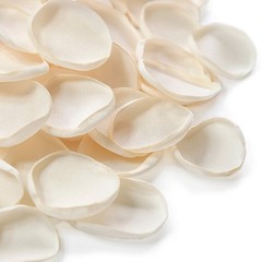 300 PCS Cream Faux Silk Rose Petals for Wedding Flower Girl Basket Scatter