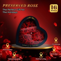 Forever Red Roses in a Heart Shaped Box 16 Preserved Flowers for Heart-red