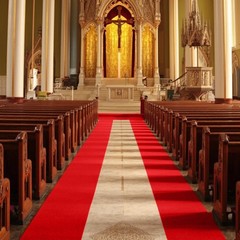 Red Carpet Runner for Party 100 GSM Felt Non-Woven Fabric Runway Carpet for Even