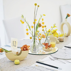 Small round Mirror Centerpieces for Tables Decorations, 6″ 9PCS Acrylic Circle M