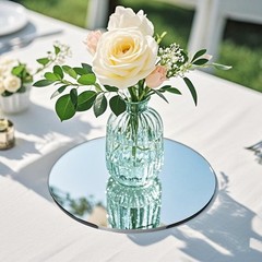 10 Pack Round Mirrors for Centerpieces, 8 inch Circle 8inch/20cm, Silver