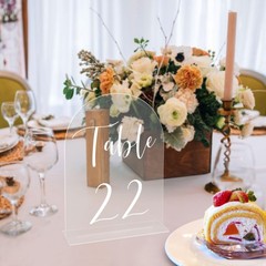 JOYIT Arch Wedding Table Numbers 1-10 Number 1-10, Clear White Font