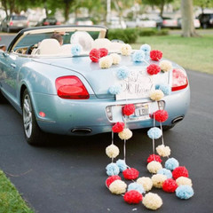 5pcs 6″-10″ Tissue Paper Pompoms Wedding Baby Shower Birthday Party Pom Poms Toy
