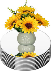 Small round Mirror Centerpieces for Tables Decorations, 6″ 9PCS Acrylic Circle M