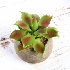 Set of 3 5″ tall Assorted Artificial Faux Aloe Succulent Plants with Round Pots