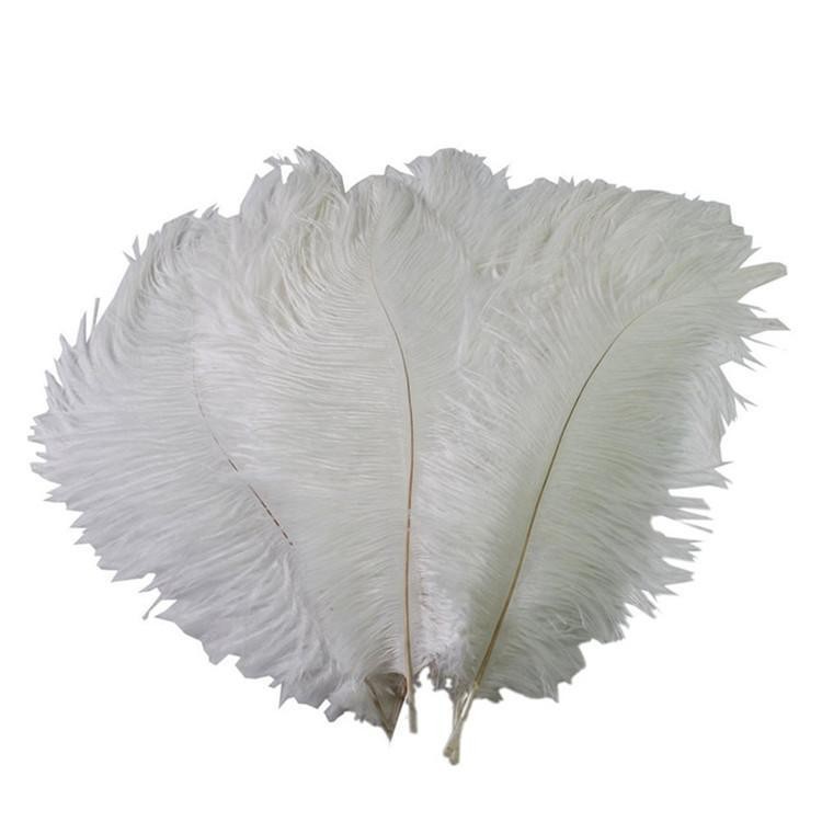 12 pcs 24-26″ long White Genuine Ostrich FEATHERS Wedding Party Centerpieces