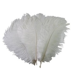 12 pcs 24-26″ long White Genuine Ostrich FEATHERS Wedding Party Centerpieces