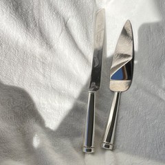 Reed & Barton Stainless Steel Cake Knife & Server Set Silver Glossy Finish