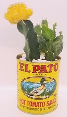 6 Large Empty El Pato Cans for Crafts, Centerpieces Weddings Quinceaneras WOW!!