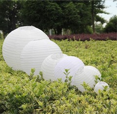 Everyday PLNT-10-FBA Round Paper Lantern (10 Pack), 10″, White