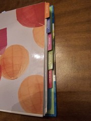 New Simple Stunning Wedding Keepsake Organizer With 6 Tabbed Sections, Pockets.