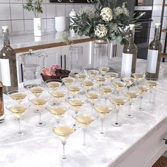 40 Pack Mini Plastic Martini Glasses – 5oz Disposable Cocktail Glasses Tall