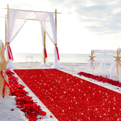 Sequin Aisle Runner 2X15Ft Sparkly Wedding Party Carpet