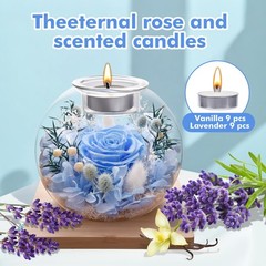 NERCHVO Valentines Birthday Gifts for Women Preserved Roses in Glass Blue
