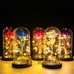 LED Eternal Galaxy Rose in Glass Enchanted Forever Flower Thanksgiving Xmas Gift