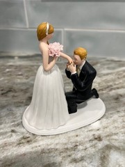 Weddingstar Wedding Cake Topper Bride And Groom A Cinderella Moment