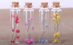 MaxMau 20ml Small Glass Bottles,Tiny Vials,Jars with Cork Clear