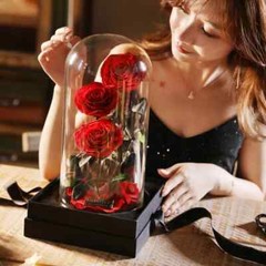 Eternal Rose in Glass Dome – Valentine’s Day Gift