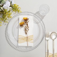 CLEAR SILVER 10 Round 10″ Plastic Salad PLATES Beaded Rim Party Events