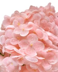 3Pcs Real Touch Hydrangea Artificial Flowers – 16.7″ 3D Latex Light Light Pink