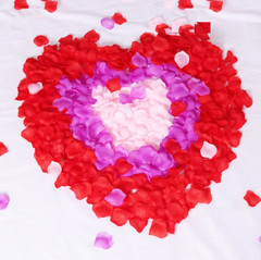 1000 Silk Rose Petals Fake Flowers Confetti Engagement Wedding Romantic Decor US